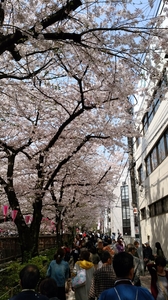 20180329234014226.jpg