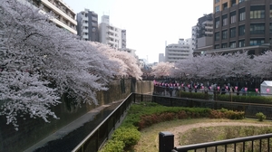 20180329234455486.jpg