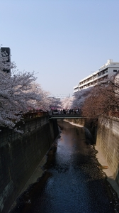 20180330000600497.jpg