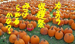 20181007235729775.jpg