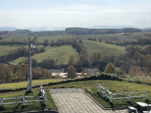 20181030162345406.jpg