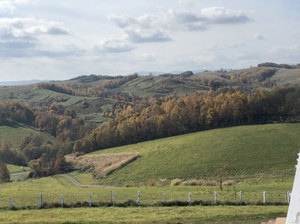 20181030162356859.jpg