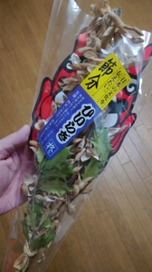 20190203235915955.jpg