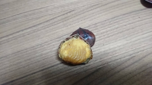 20201020221143737.jpg