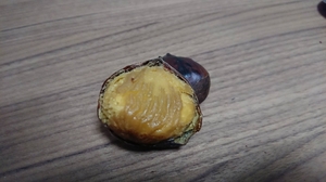 20201020221151082.jpg