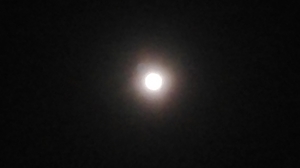 20201031234818881.jpg