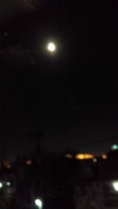 20220911235533019.jpg