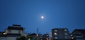 20230504204409121.jpg