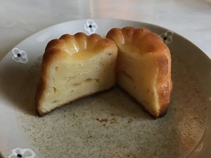 20230519235044119.jpg
