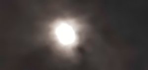 20230831215252682.jpg