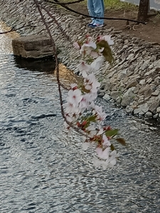 20250410190915437.jpg