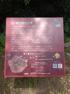 20250524012619158.jpg