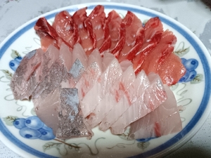20250526001000345.jpg