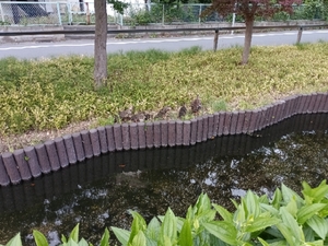 20250528231815985.jpg
